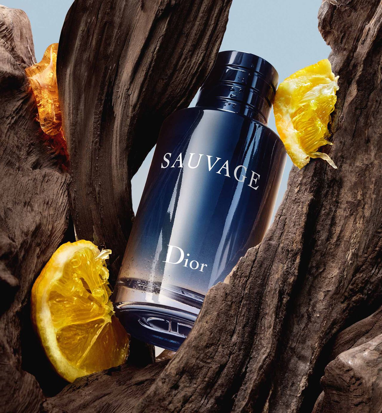 Dior Sauvage 100ML Long-Lasting Fragrance